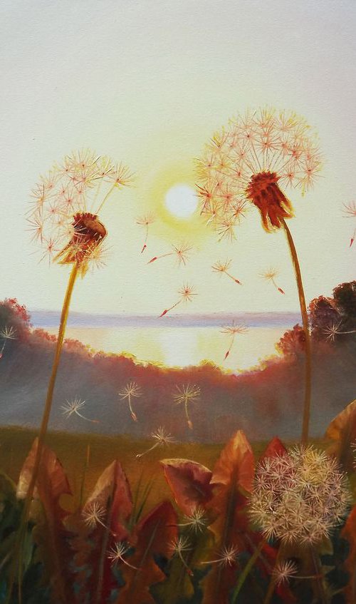 Sunset and Dandelions by Oleg Riabchuk
