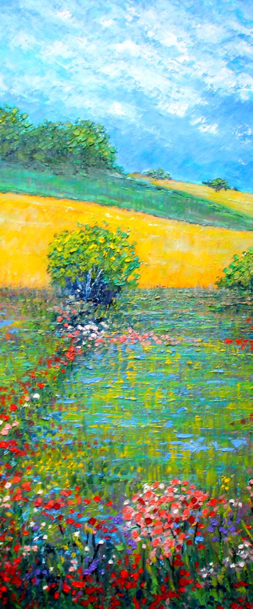 Hampshire Summer Fields V by Paul J Best