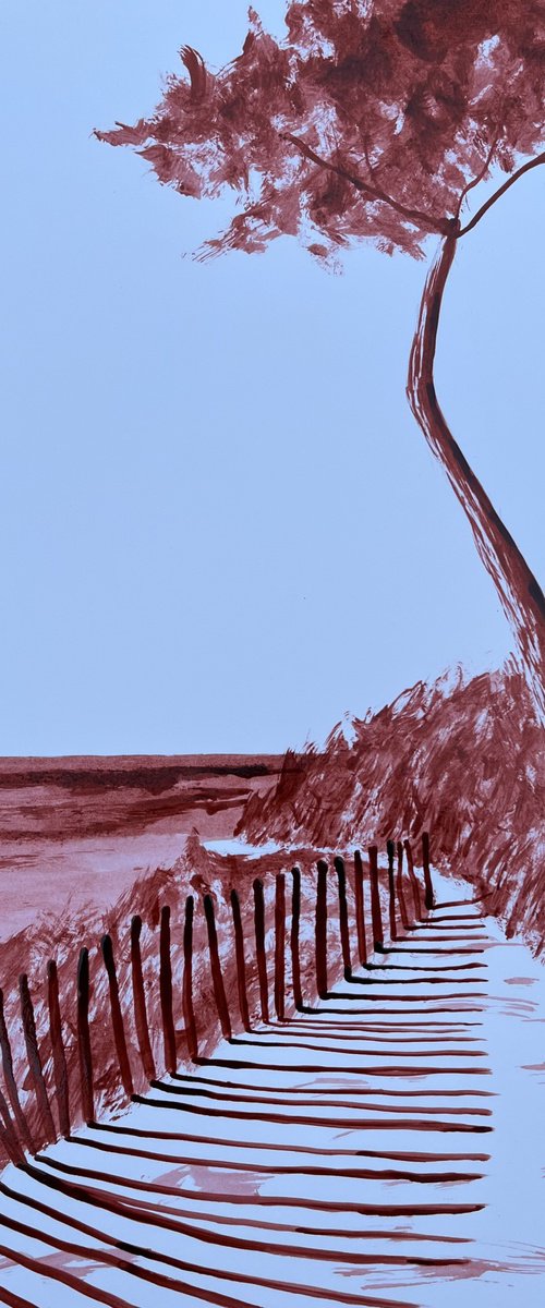 Coastal path by Cadiou Frederic