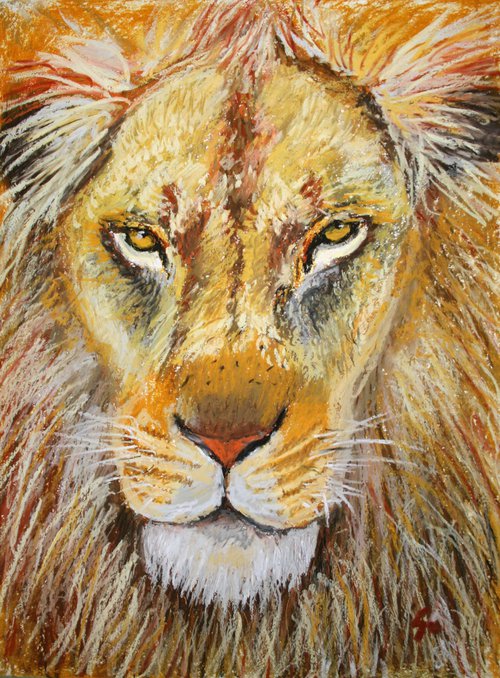 Lion / FROM THE ANIMAL PORTRAITS SERIES / ORIGINAL OIL PASTEL PAINTING by Salana Art Gallery