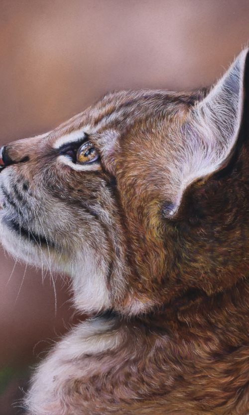 Little Lynx by Tatjana Bril