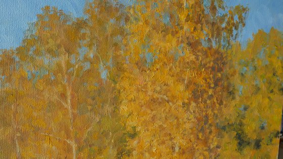 Gold Of Autumn - sunny autumn landscape painting