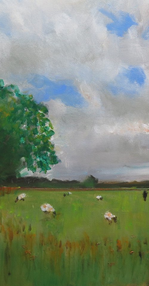 Tilmire Common by Malcolm Ludvigsen