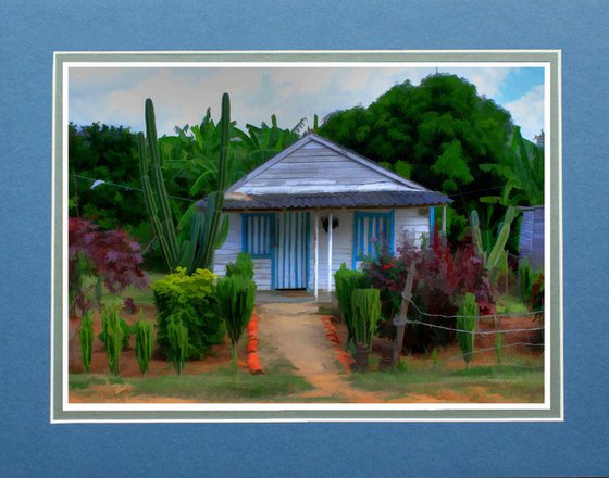 House and garden in Cuba