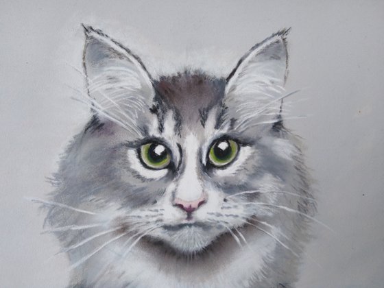 A Cat's Portrait. Emerald Eyes