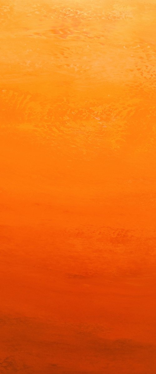 Orange Nectar - Color Field by Suzanne Vaughan