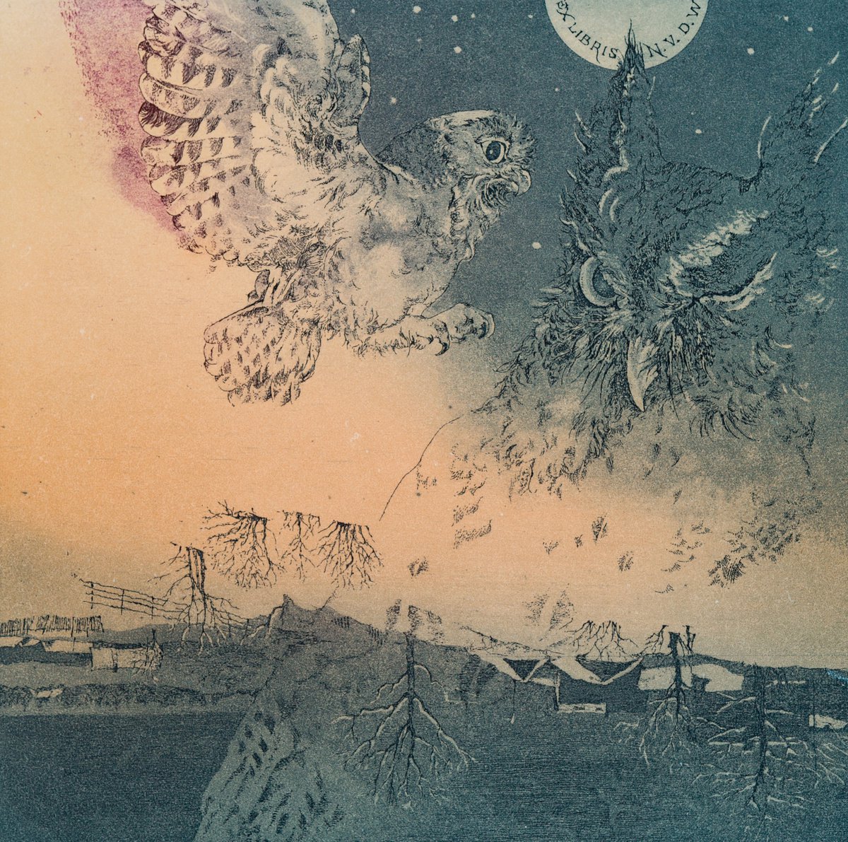 The Envoy of Night by Eugenia Timoshenko