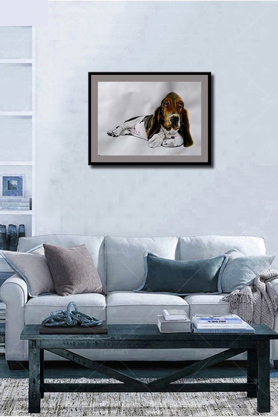 Basset Hound