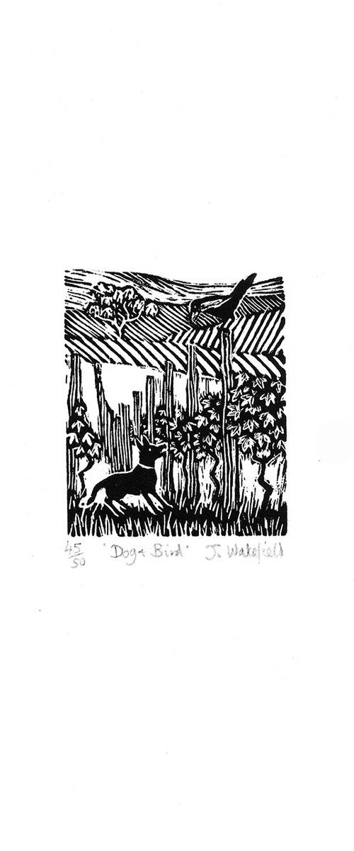 Dog & Bird, 45/50 by Julia Wakefield