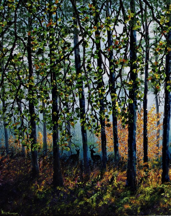 Deep In The Forest  61cm x 92cm