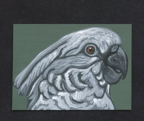 ACEO ATC Original Miniature Painting Umbrella Cockatoo Parrot Pet Bird Art-Carla Smale