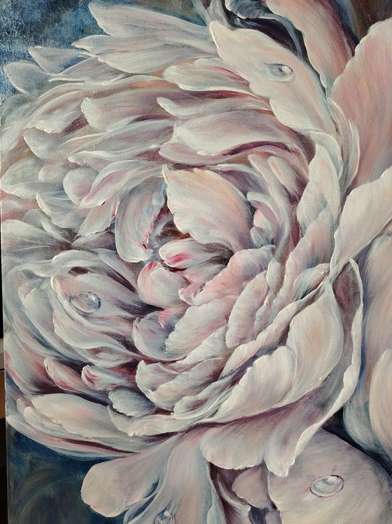 Pre-dawn Peonies. Original.