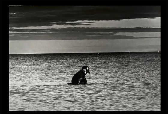 Solitario (2of7)