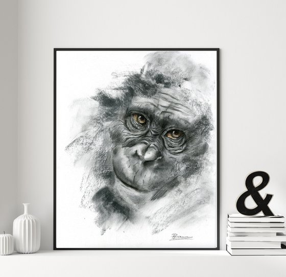 Monkey portrait (2) - Charcoal drawing