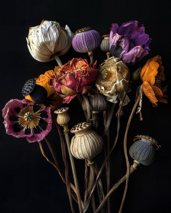 Elegy in Bloom 2