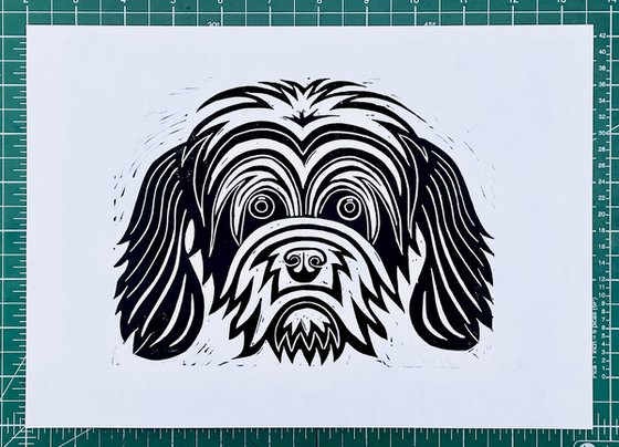 Cavapoo