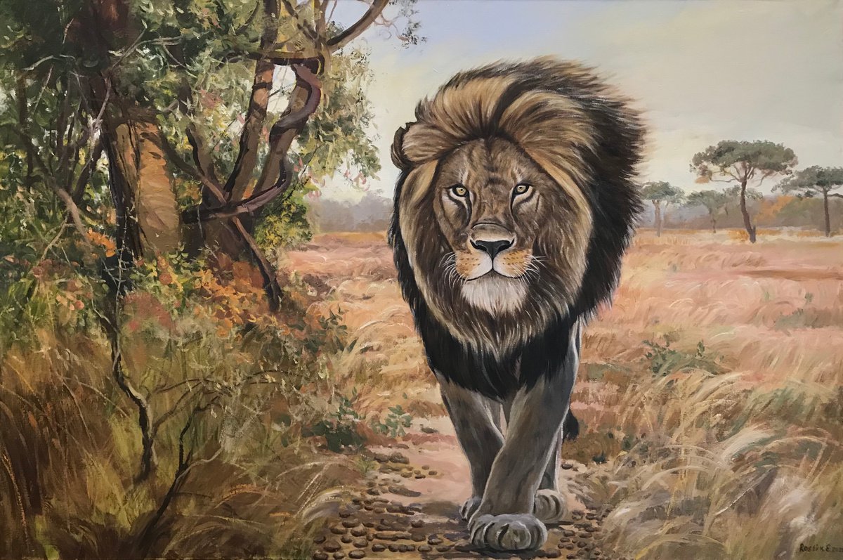 Original oil painting African lion - 120x80 cm (2020) by Evgeniya Roslik
