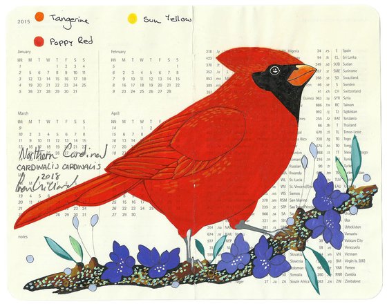 Birds of North America: Cardinal