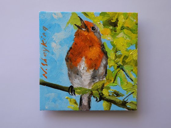 Spring Robin Mini Set of 2