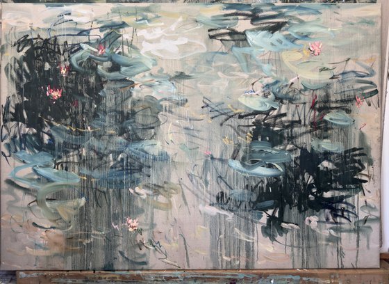 Water lilies. Reflections.