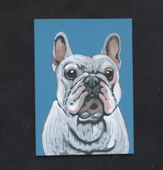 ACEO ATC Original Miniature Painting White French Bulldog Pet Dog Art-Carla Smale