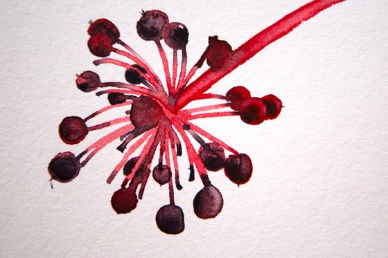 Umbrella leaf; Seeds series