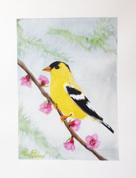 " Goldfinch Among Pink Blossoms "