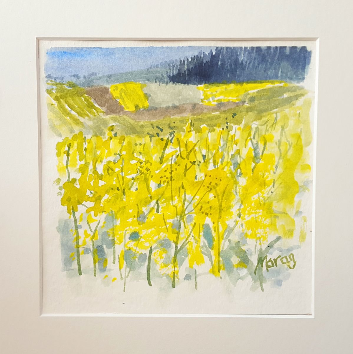 Fields of Yellow by Morag Paul