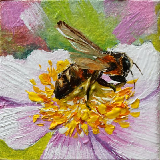 Honeybee on Wildflower