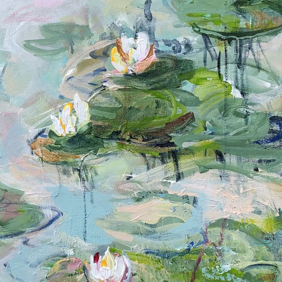 Water lilies