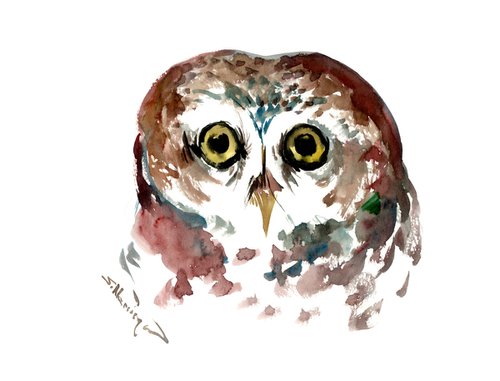 Owl by Suren Nersisyan