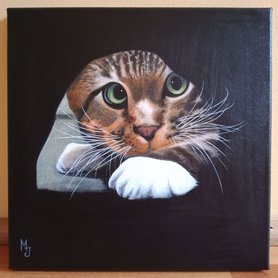 Cat Portrait ~~ an original acrylic painting