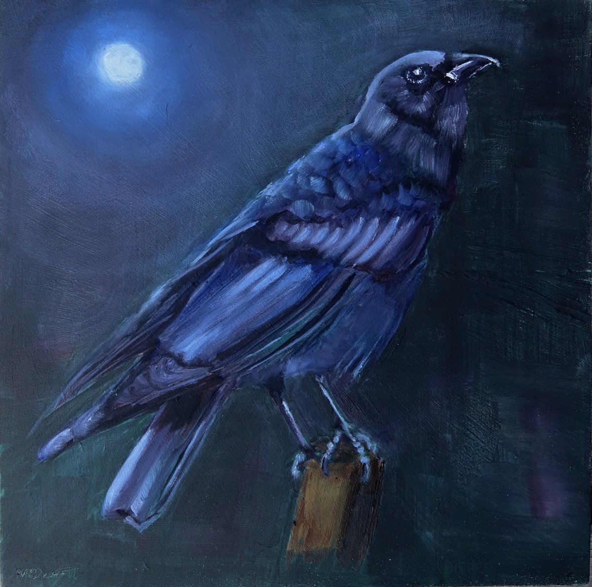 Raven in Moonlight by Marion Derrett