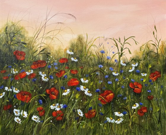 Red poppies field