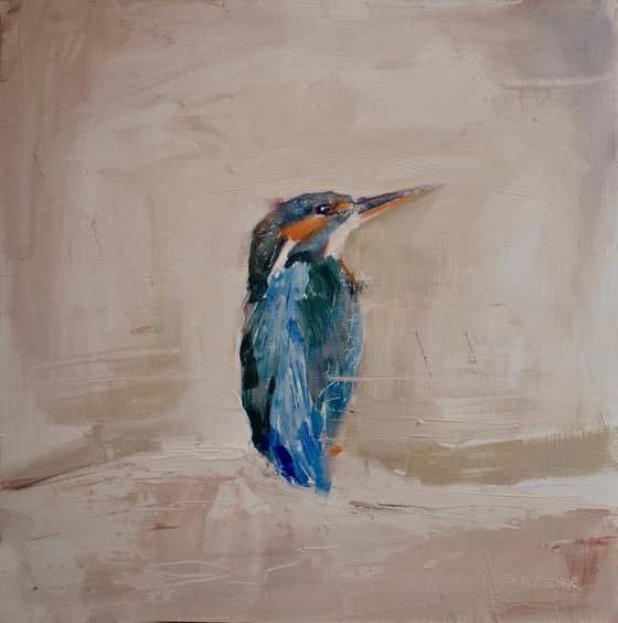 Kingfisher study