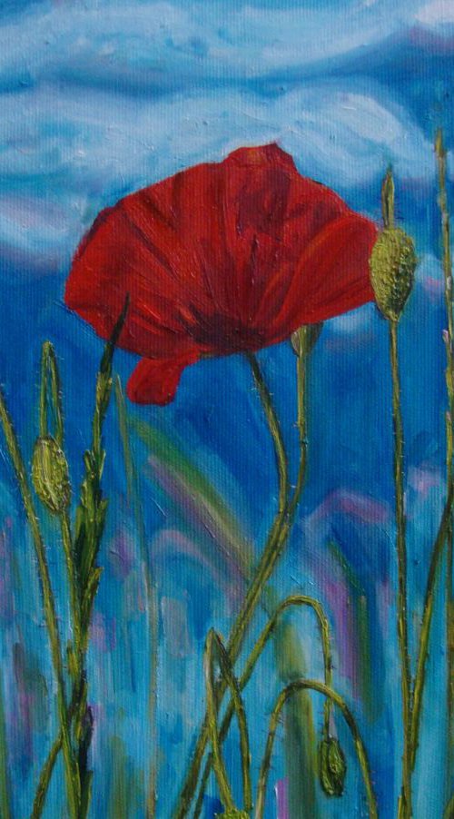 Poppies and clouds by Olga Knezevic