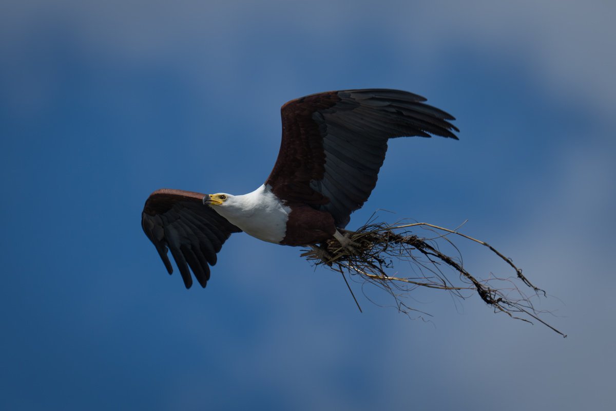 Nesting by Nick Dale