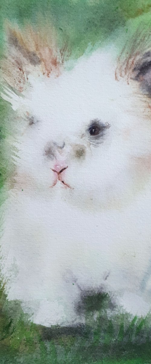 Bunny IV... 8x8"  - ANIMAL PORTRAIT / ORIGINAL PAINTING by Salana Art