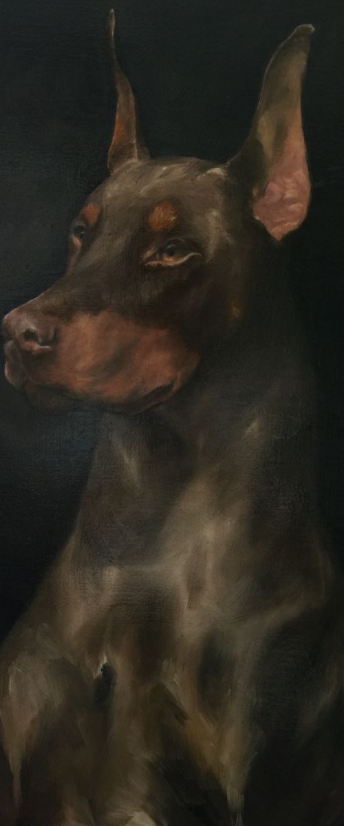 Hound of shadow by Ângelo A.C. Silva