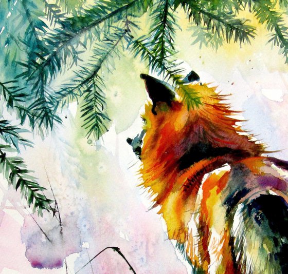 Red fox watching wintertime