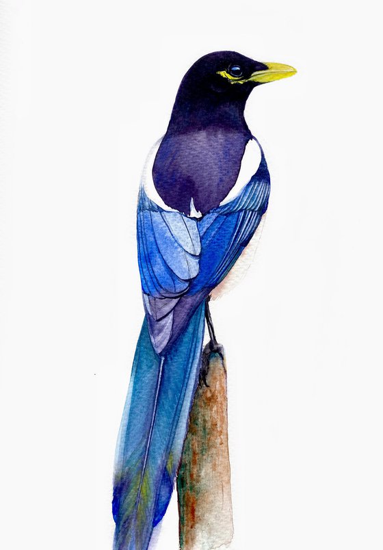 Magpie-the rainbow bird with watercolor magic in artistic realism
