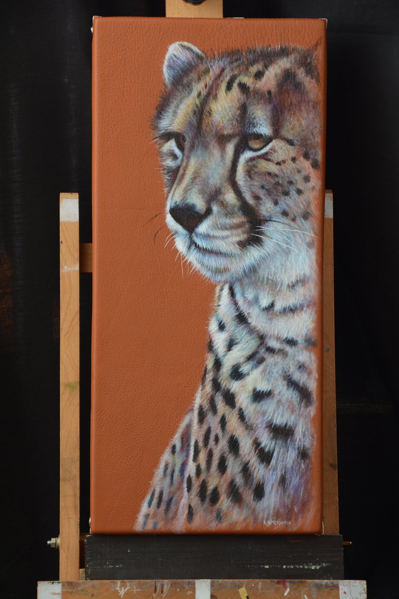 Watchful Cheetah by Karl Hamilton-Cox