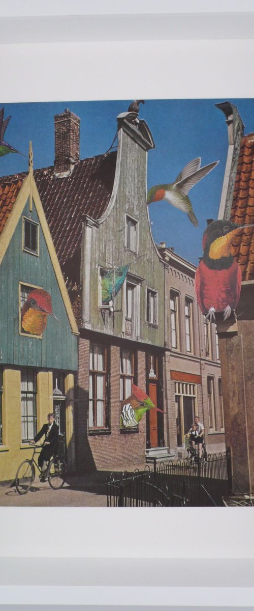 Bird Houses by Paper Draper