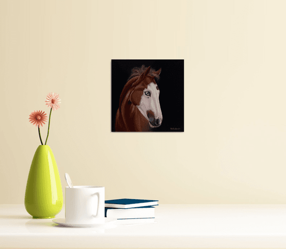 Horse Portrait 35