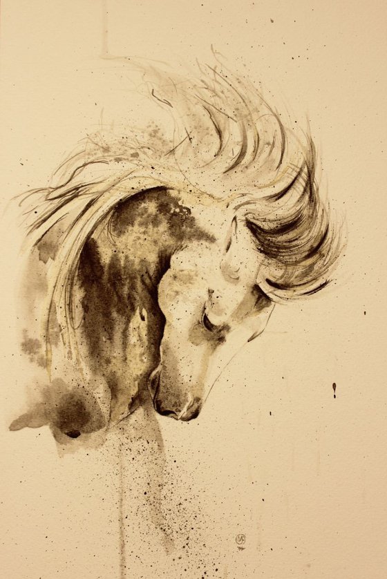 Horses Portrait 4.1