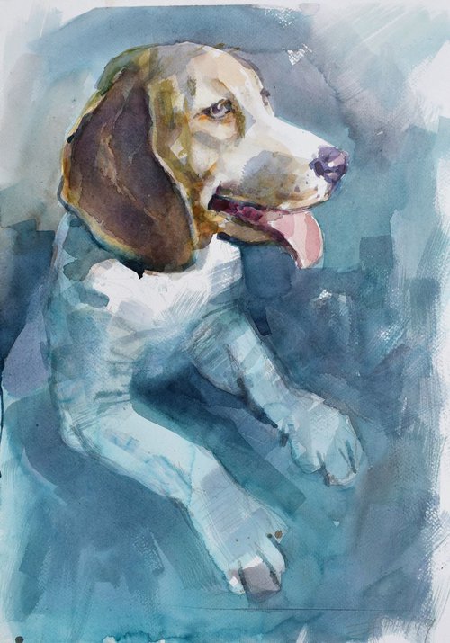 Curious dog by Goran Žigolić Watercolors
