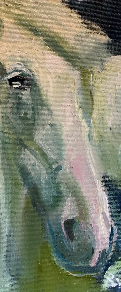 Horse by Ryan Louder