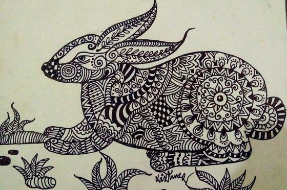 Beauty of Rabbit  lines drawing