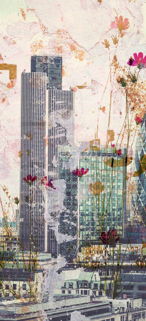 Wild Flowers of London by Steven Irwin