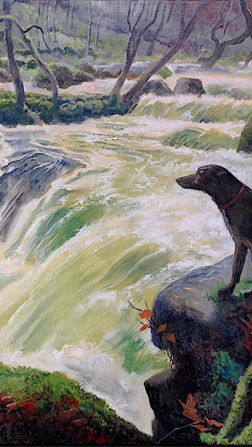 River Bovey Cleave by Daniel Loveday